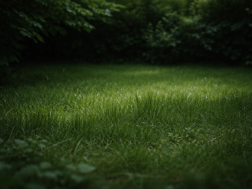 Groen schaduwgazon in de tuin met hoger gemaaide pollen van schaduwgras onder dicht bladerdak.